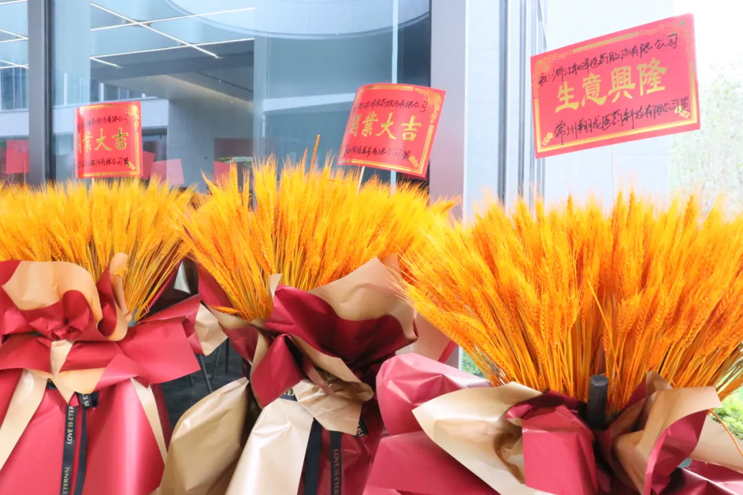 20250221134017206478.jpg 652.jpg